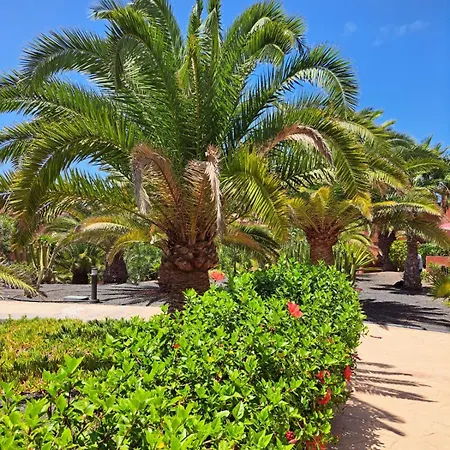 Casa Esperanza Dunas - Amazing With Stunning View * Коральео