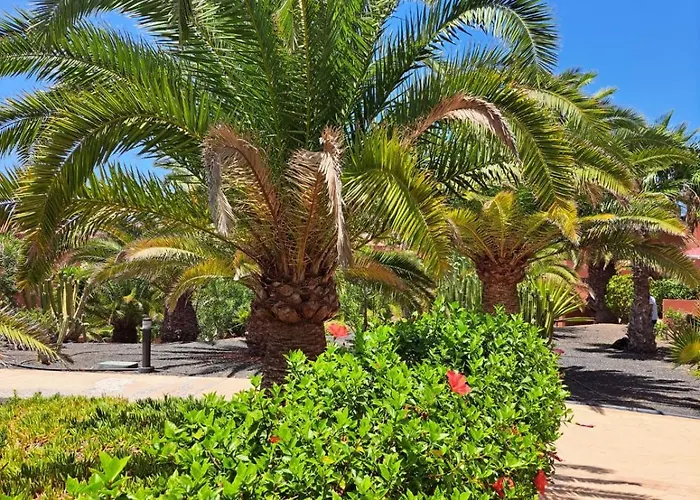 Casa Esperanza Dunas - Amazing With Stunning View * Corralejo